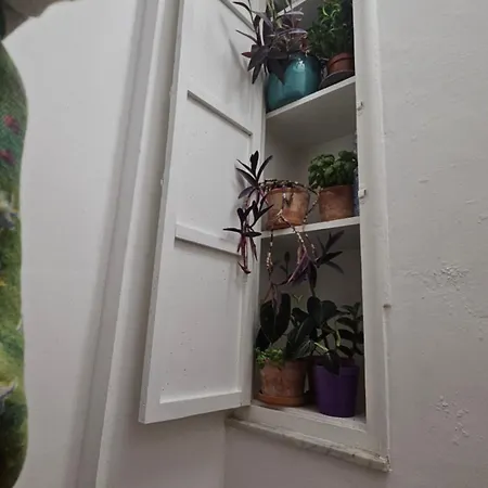 Dietro Ballaro - Palermo